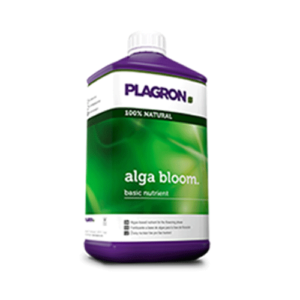 Alga bloom