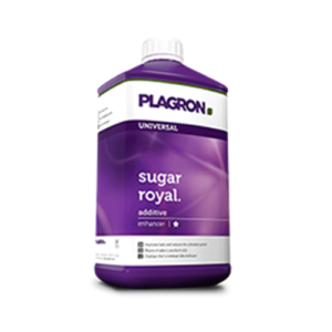 Sugar Royal