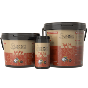 TALPA BLOOM