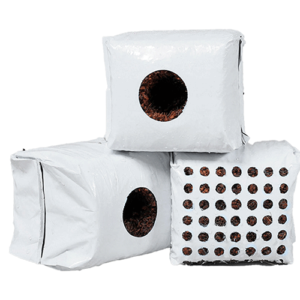 Propagation Coco Cubes 7x7x7cm to 3cm