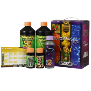 Bloombastic Terre Box