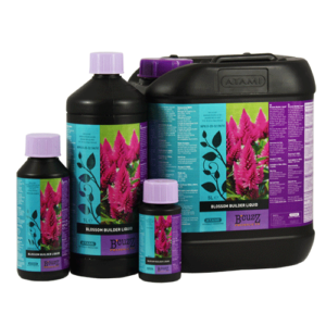 B'cuzz Blossom Builder