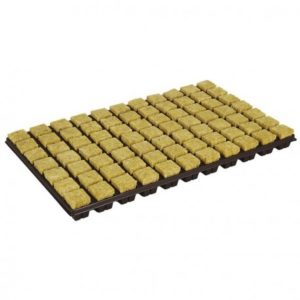 3.5x3.5x4cm Grodan Rockwool Cube, 77 per tray